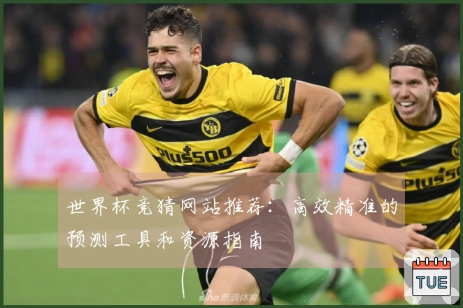 世界杯竞猜网站推荐：高效精准的预测工具和资源指南