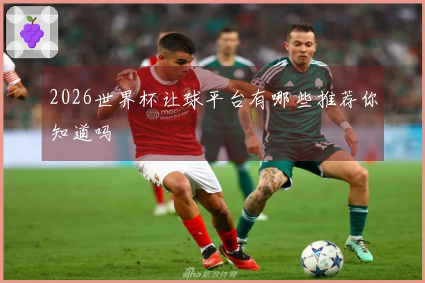2026世界杯让球平台有哪些推荐你知道吗