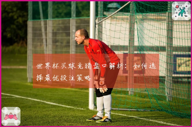世界杯买球竞猜盘口解析：如何选择最优投注策略